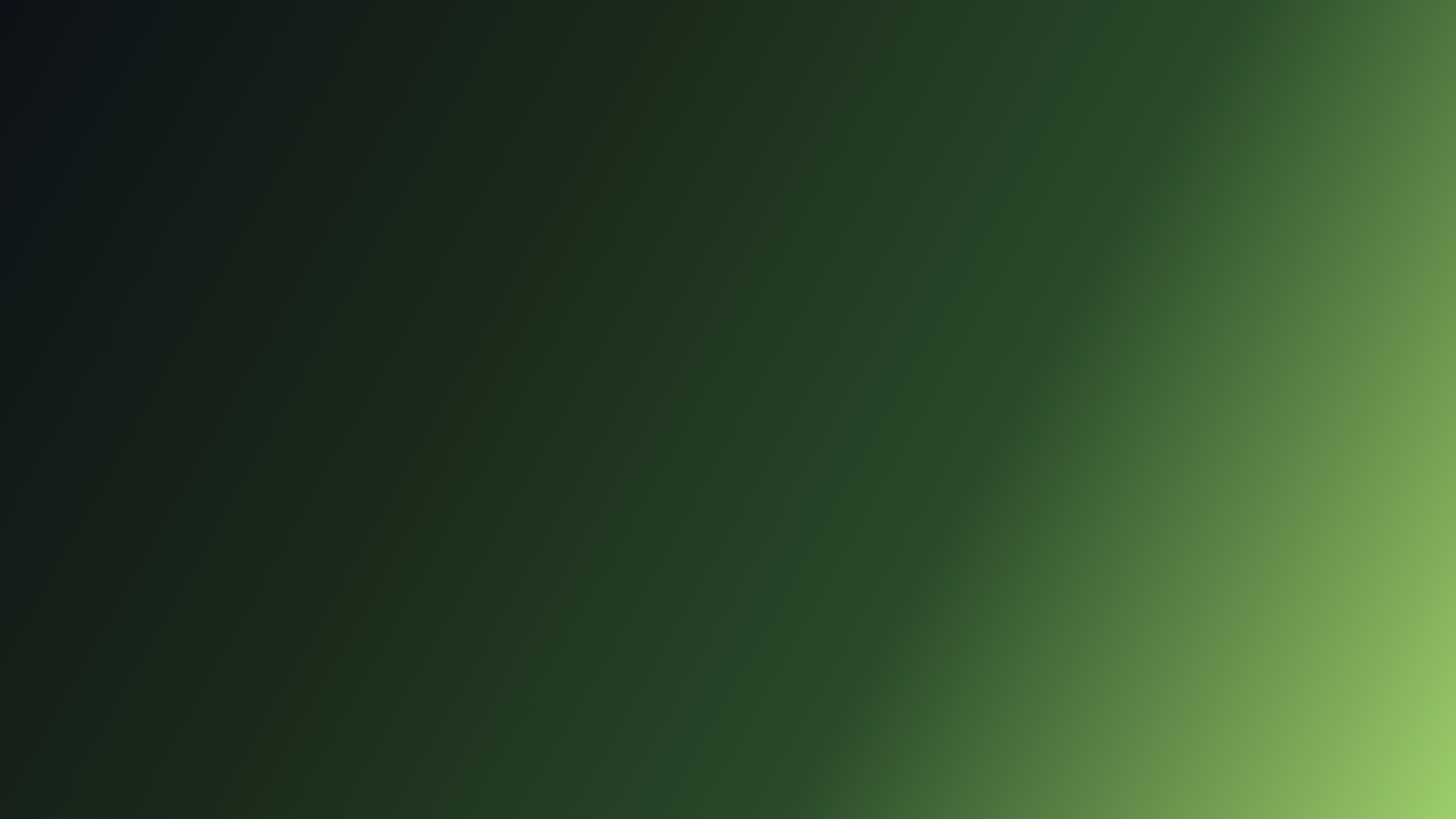 Forest Glow wallpaper